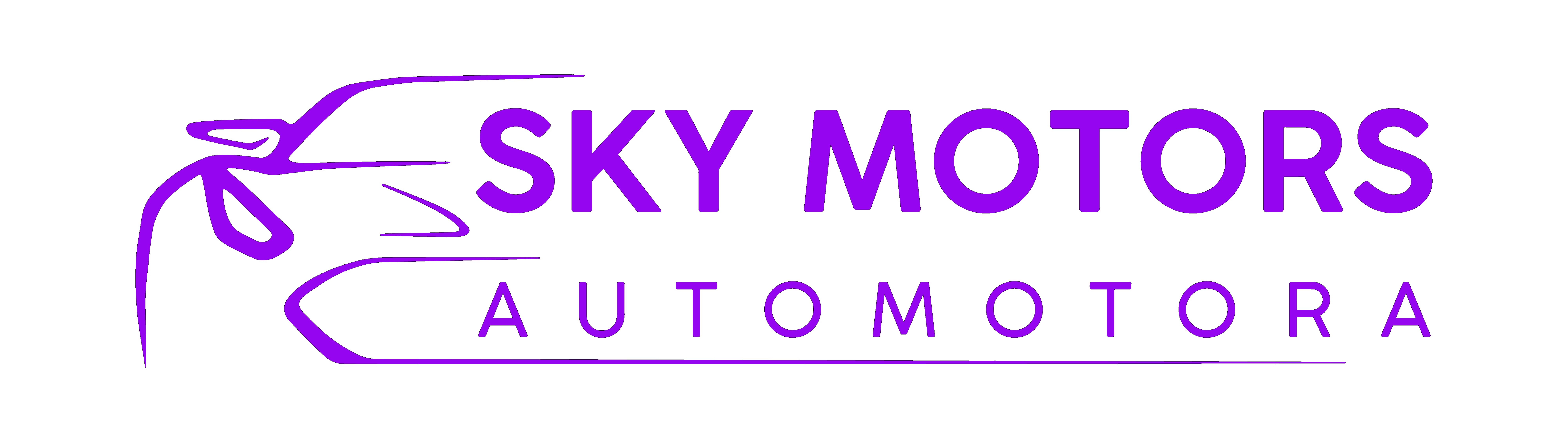 Sky Motors